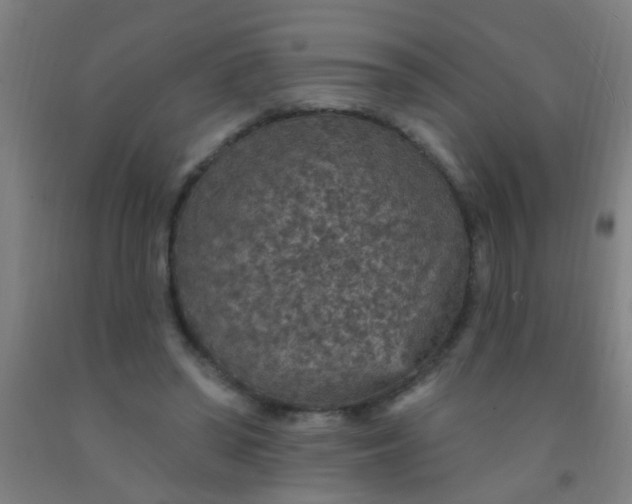 X0000092030398200709271613