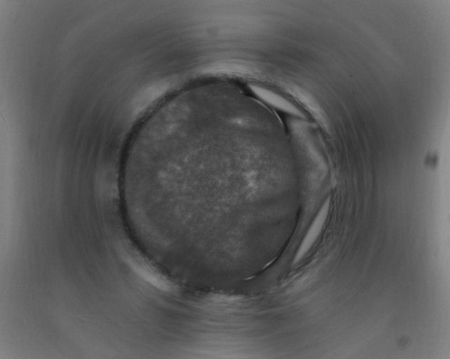 X0000092030399200709271613