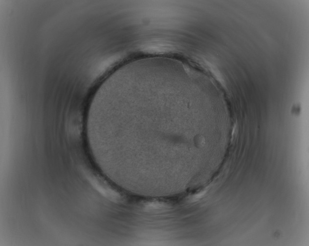 X0000092030400200709271613