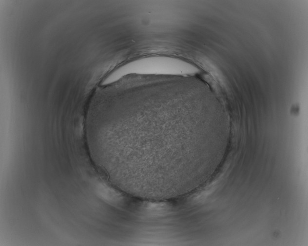 X0000092030401200709271613