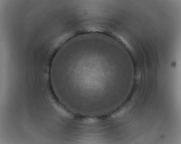 X0000092030402200709271613