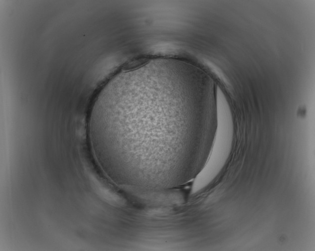 X0000092030403200709271613