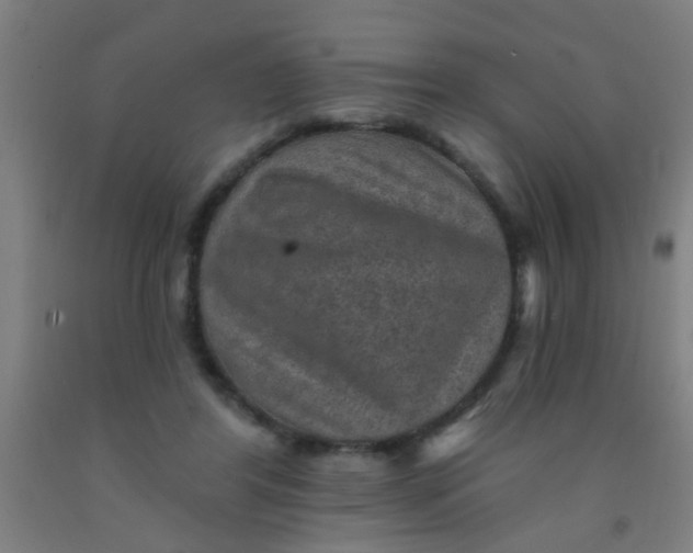 X0000092030404200709271613