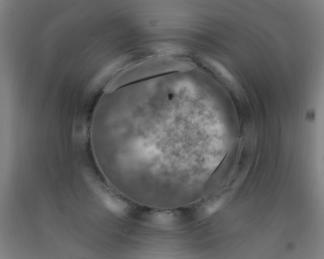 X0000092030405200709271613