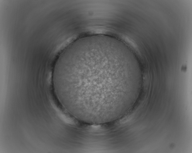 X0000092030406200709271613