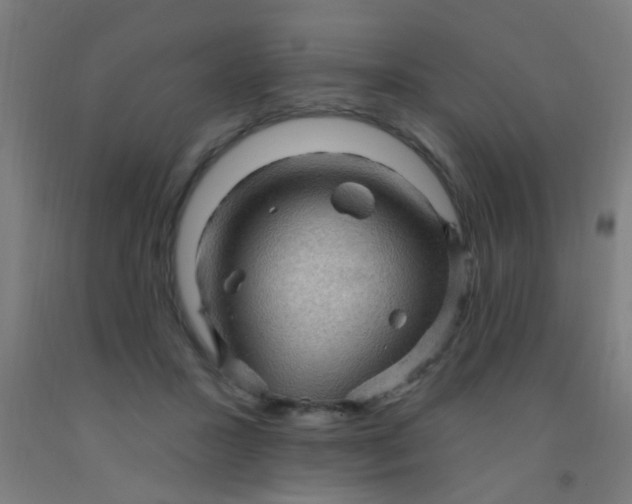 X0000092030407200709271613