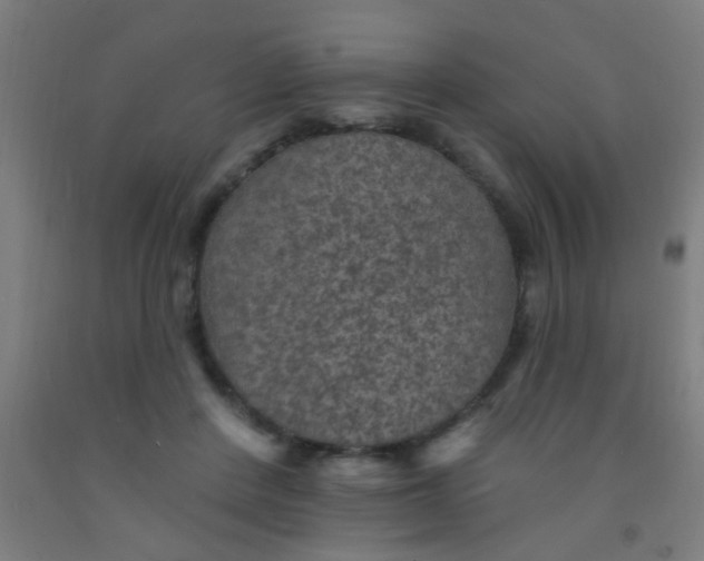 X0000092030408200709271613