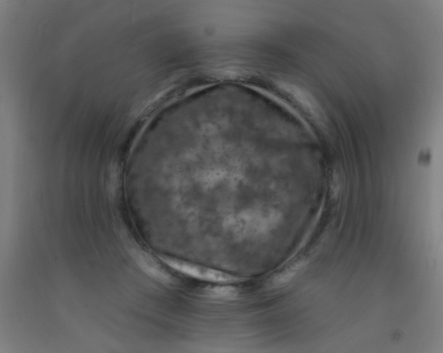 X0000092030409200709271613