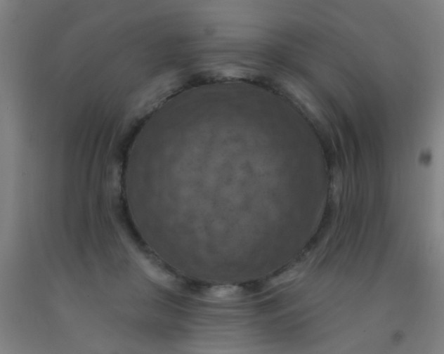 X0000092030410200709271613