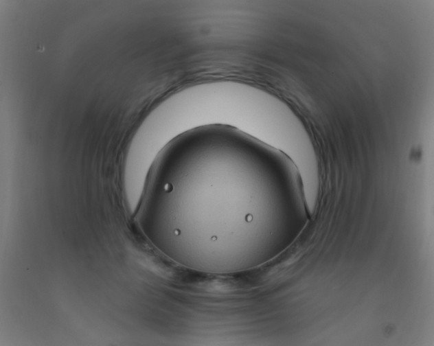 X0000092030412200709271613