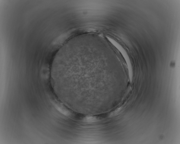 X0000092030413200709271613