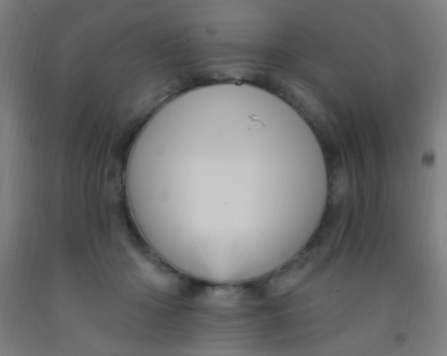 X0000092030414200709271613