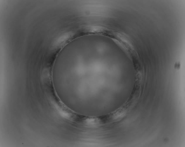 X0000092030415200709271613