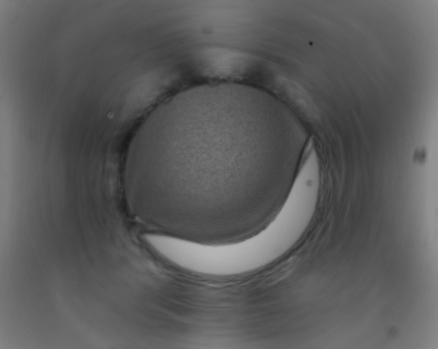 X0000092030416200709271613