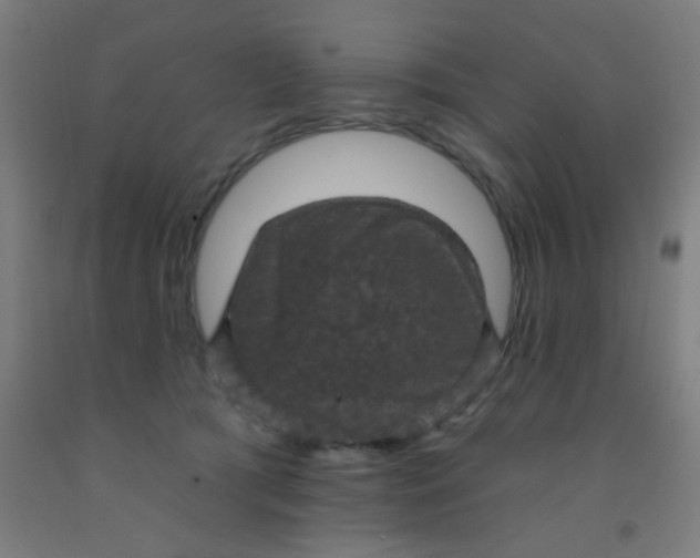 X0000092030417200709271613