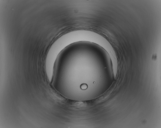 X0000092030421200709271613