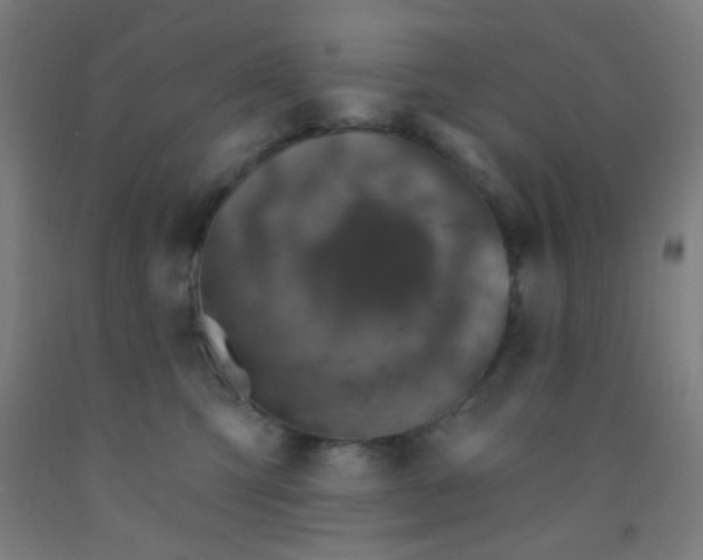 X0000092030423200709271613