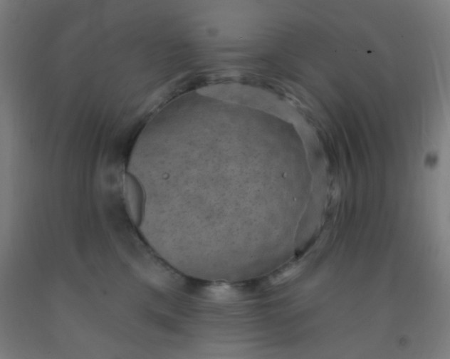 X0000092030425200709271613