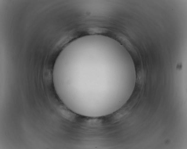 X0000092030426200709271613