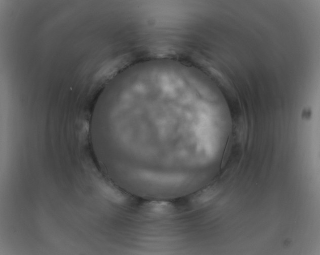 X0000092030427200709271613