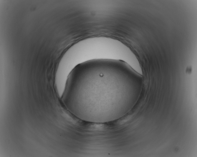 X0000092030428200709271613