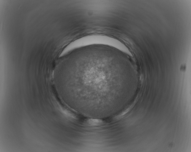 X0000092030429200709271613