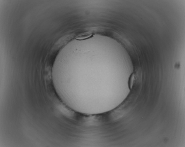 X0000092030430200709271613