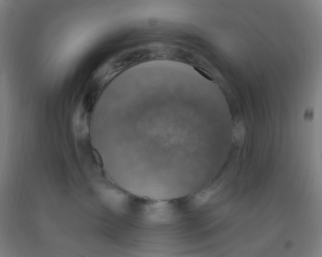 X0000092030431200709271613