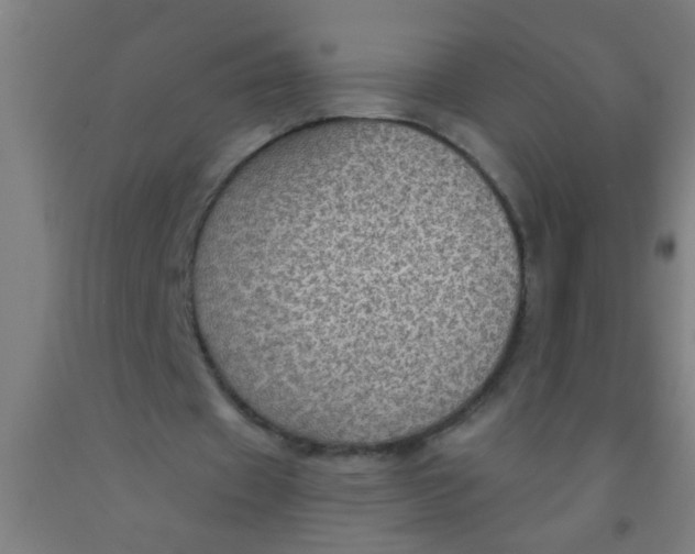 X0000092030433200709271612