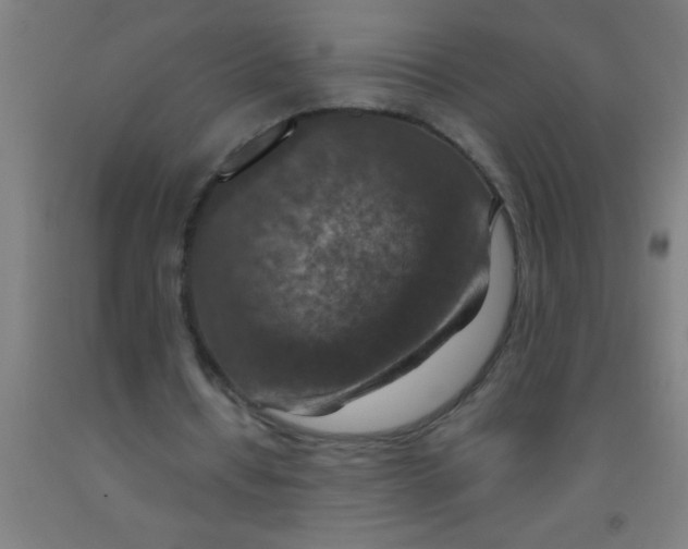 X0000092030434200709271612