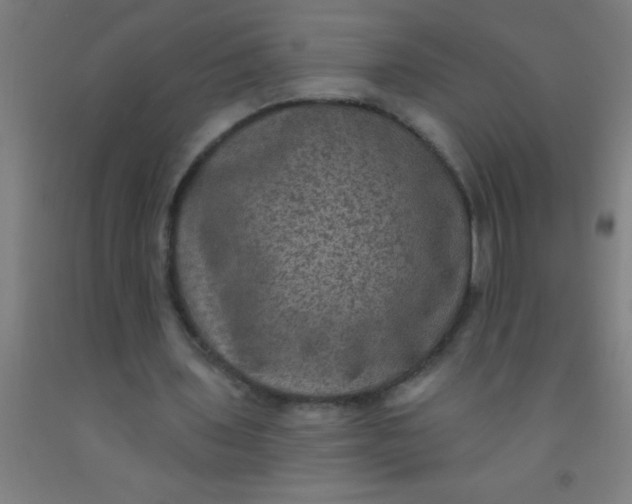 X0000092030435200709271612