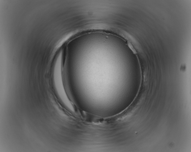 X0000092030436200709271612