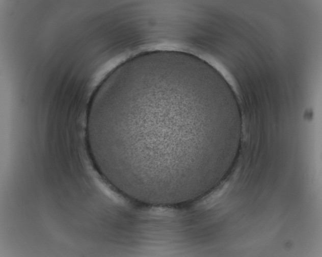 X0000092030437200709271612