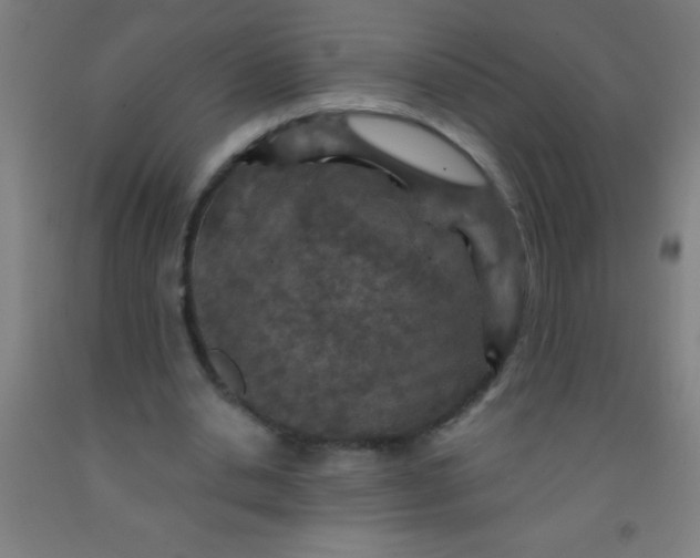 X0000092030438200709271612