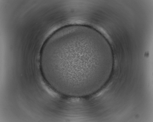 X0000092030439200709271612