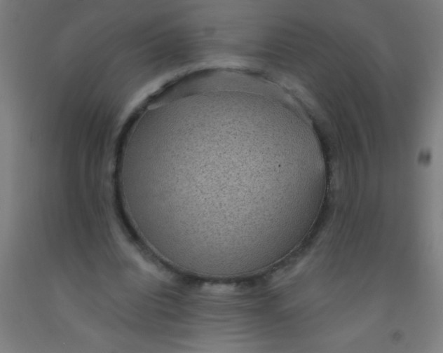 X0000092030440200709271612