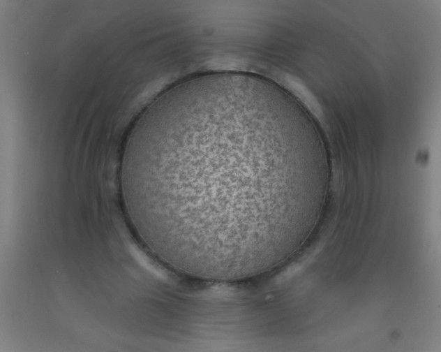 X0000092030441200709271612