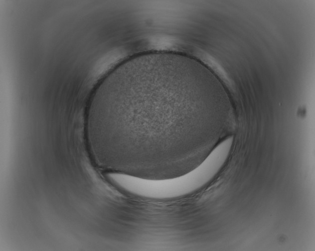 X0000092030442200709271612