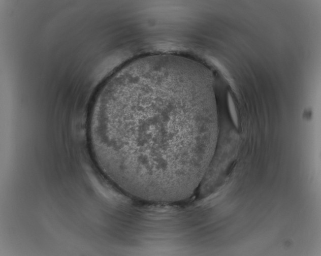 X0000092030443200709271612