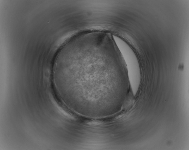 X0000092030444200709271612