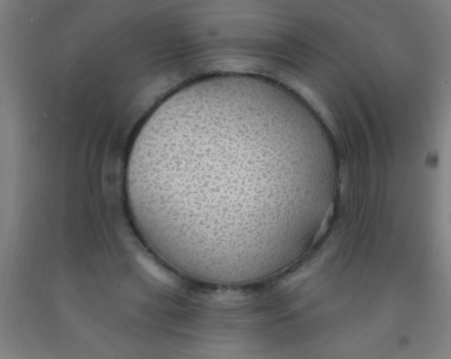 X0000092030445200709271612