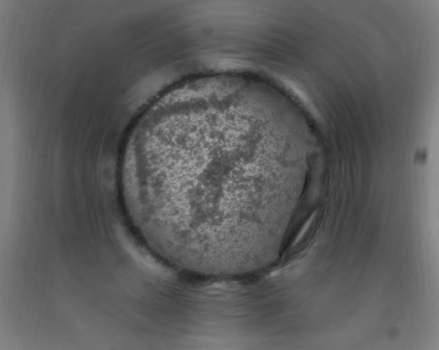 X0000092030447200709271612