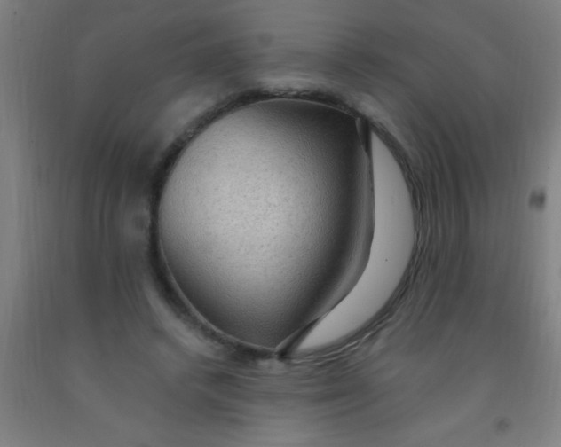 X0000092030448200709271612