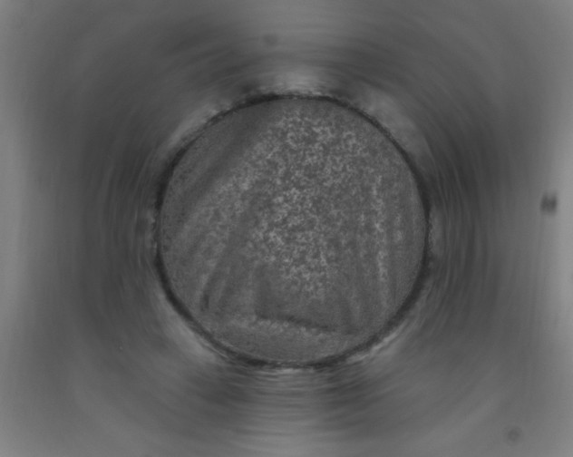 X0000092030449200709271612