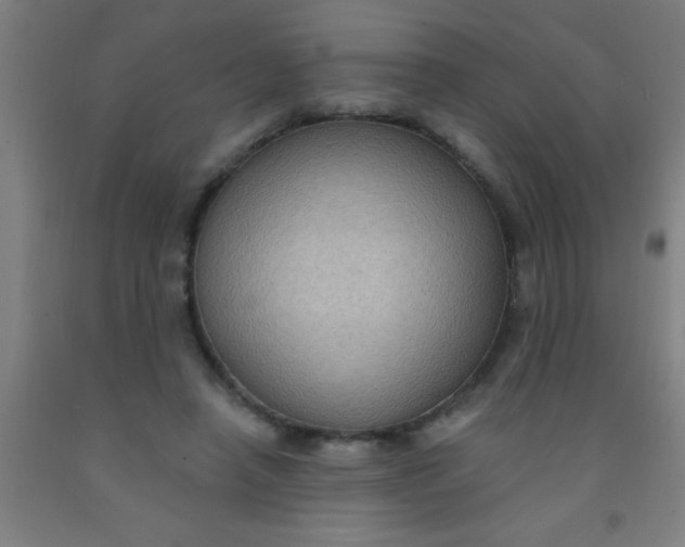 X0000092030450200709271612