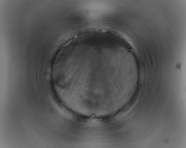 X0000092030451200709271612