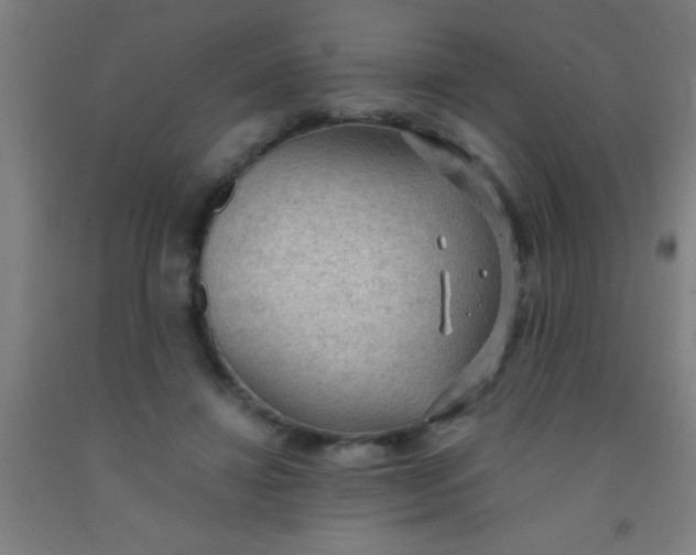 X0000092030452200709271612