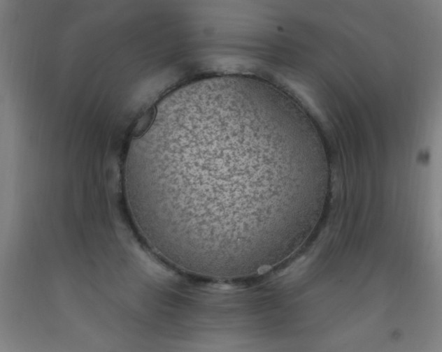 X0000092030453200709271612