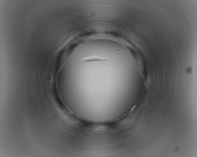 X0000092030456200709271612