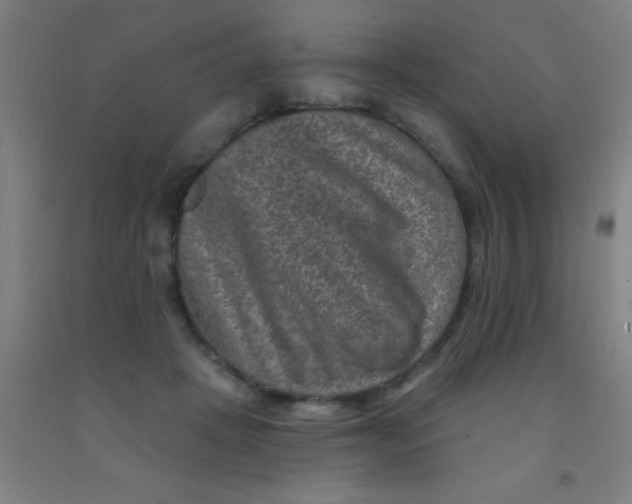 X0000092030457200709271612